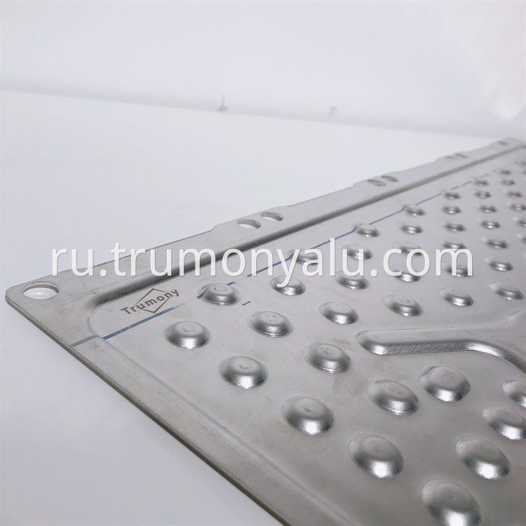 Water cooling plate (10)